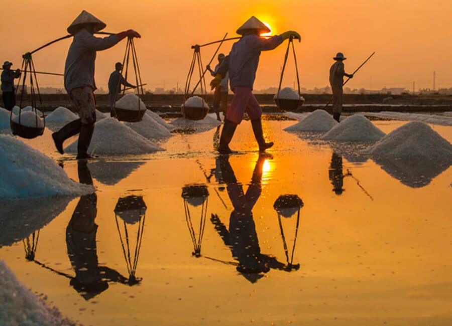 Mùa thu hoạch muối tại Ninh Thuận