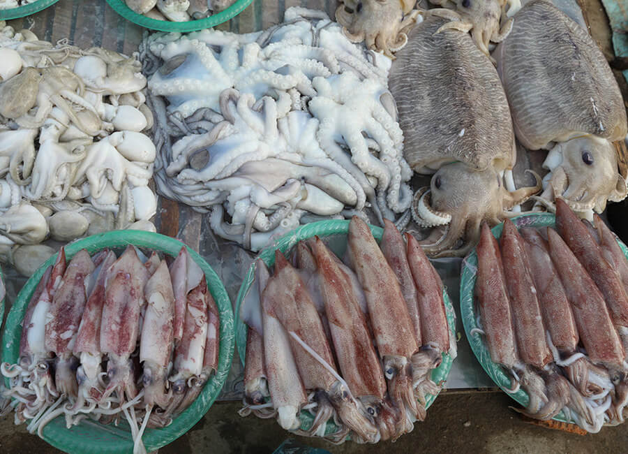 Hải sản tươi sống chợ Nại Ninh Thuận