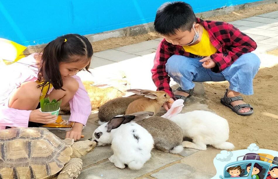 Các bé chơi với thỏ