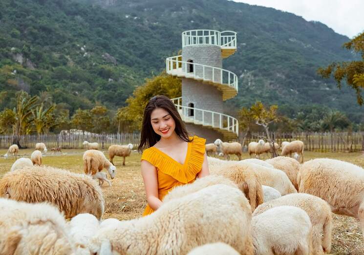 Đồng cừu Suối Tiên nơi các bạn trẻ săn đón check - in cực chill
