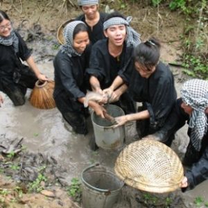 Trải nghiệm bắt cá, tôm và nấu ăn (nướng) tại chỗ