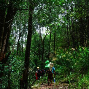 trekking B’Lao hành trình đi xuyên rừng thiêng