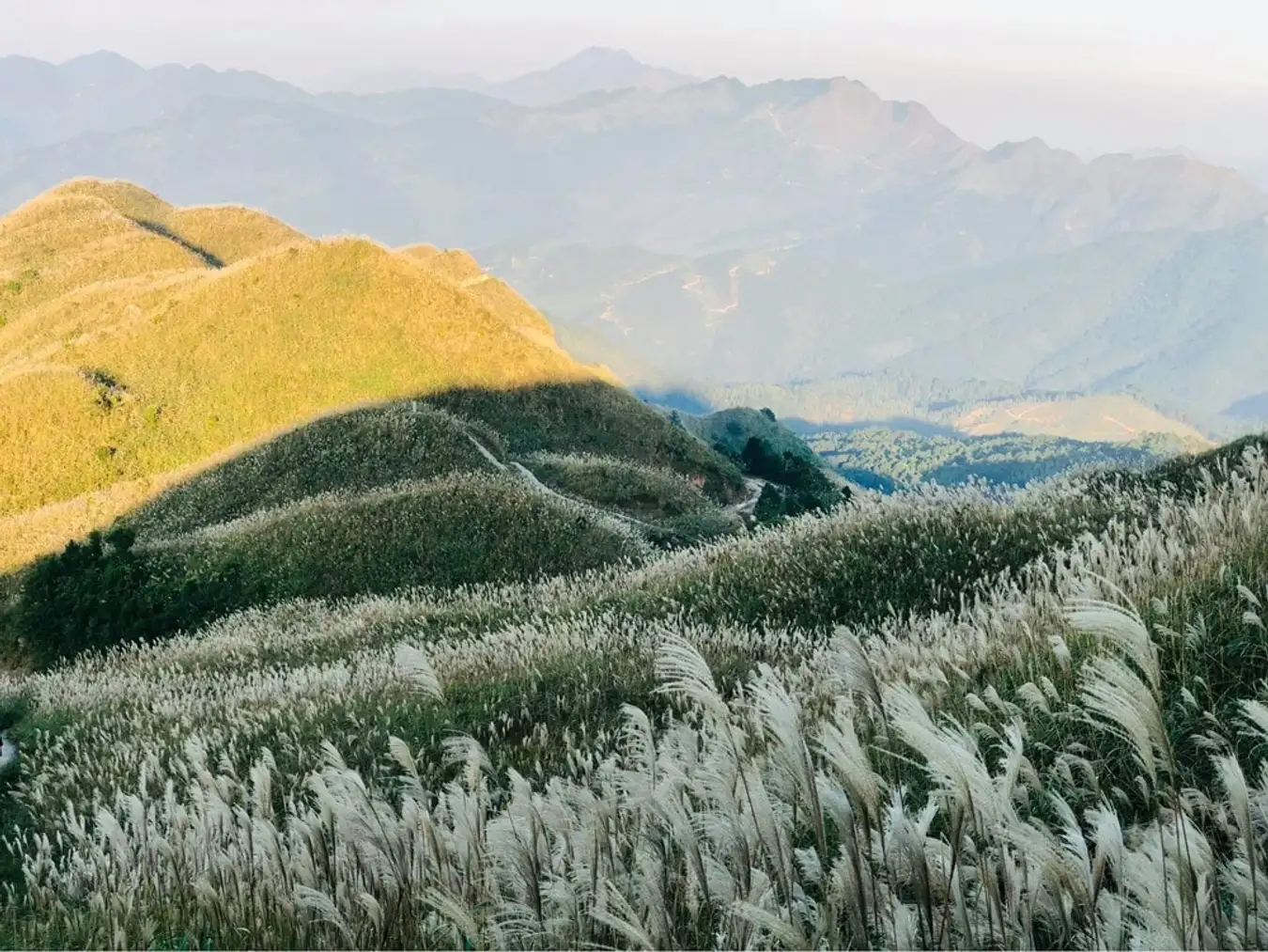 Bình Liêu Quảng Ninh - Thiên đường lau sậy