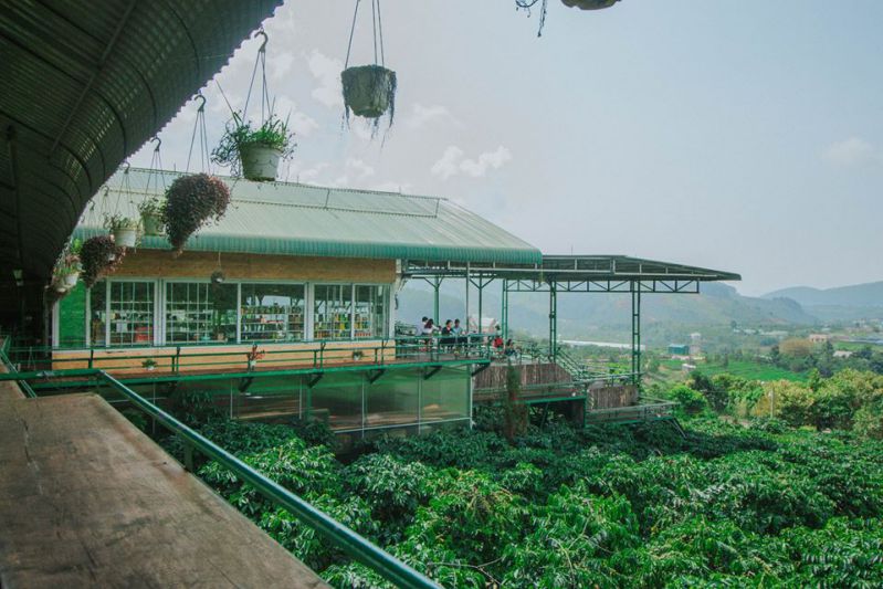 Mê Linh Coffee Garden