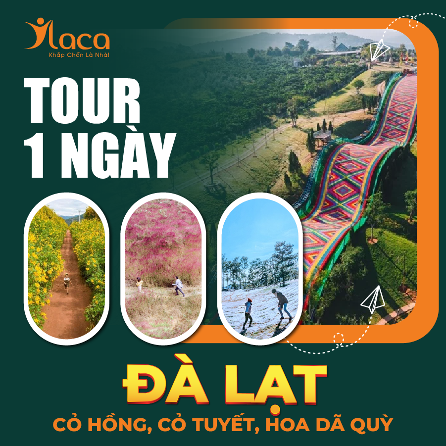 Tour 1 ngày Đà Lạt tham quan cỏ Hồng, cỏ Tuyết, hoa Dã Quỳ