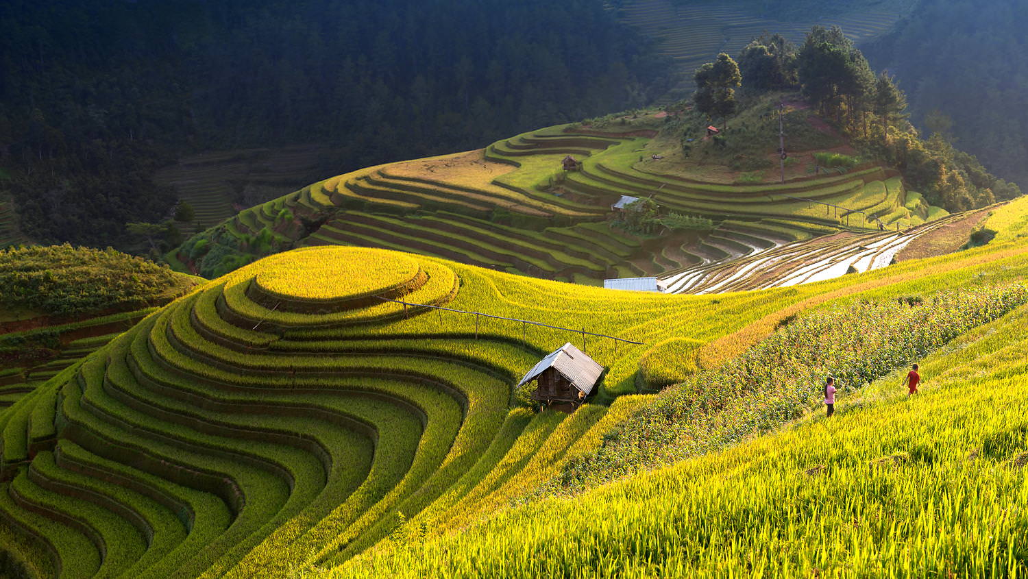 Ruộng bậc thang La Pán Tẩn