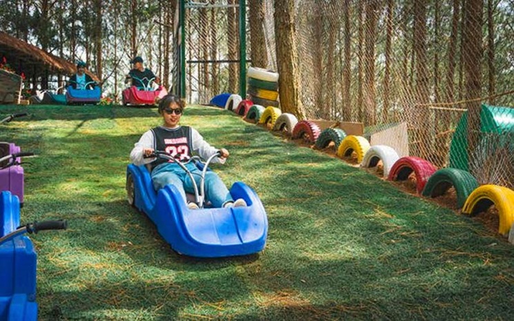 Trượt cỏ tại Mongo Land Đà Lạt