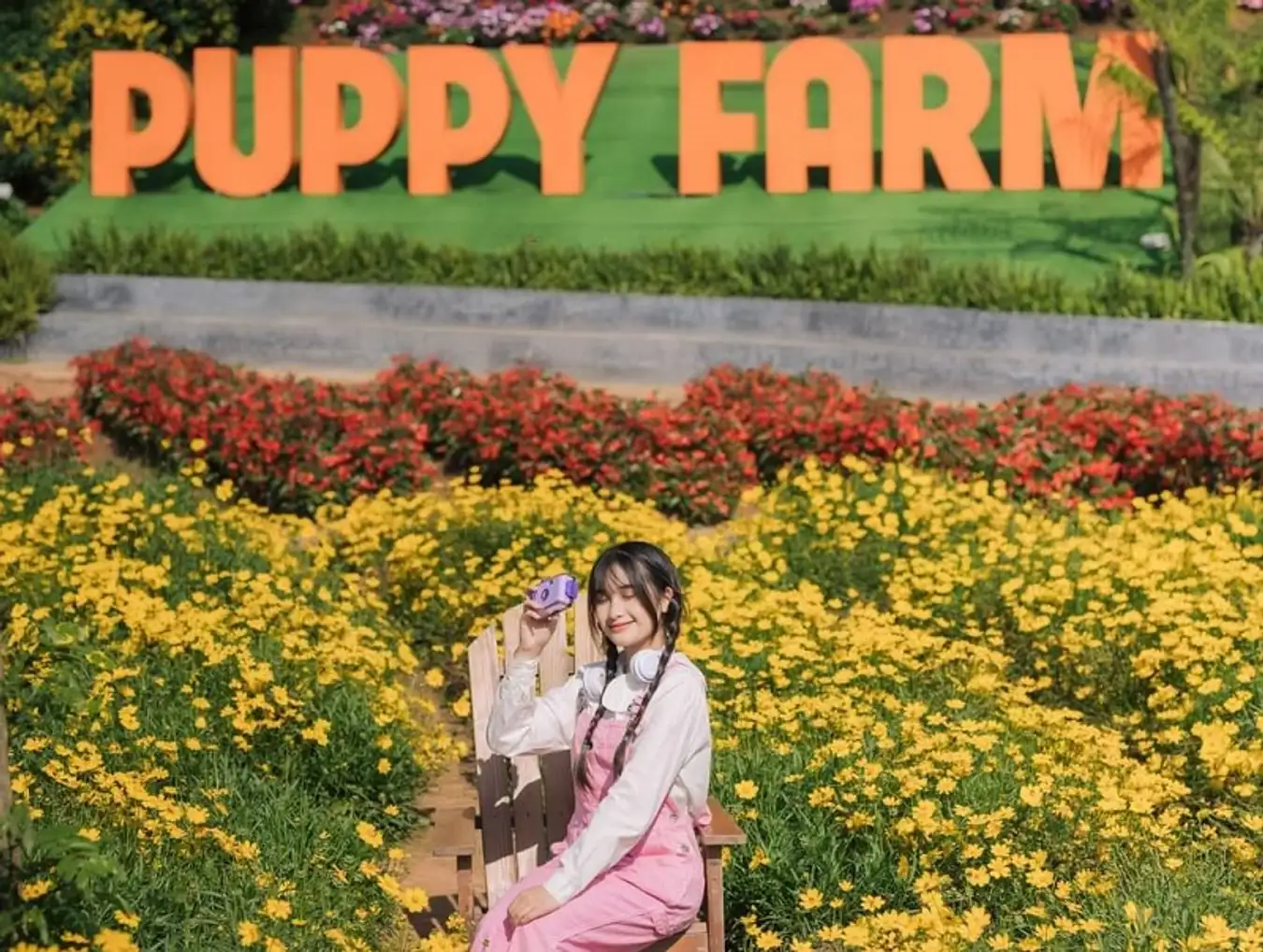 Check-in cực đẹp tại Puppy farm Dalat