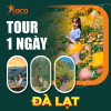 TOUR ĐÀ LẠT 1 NGÀY