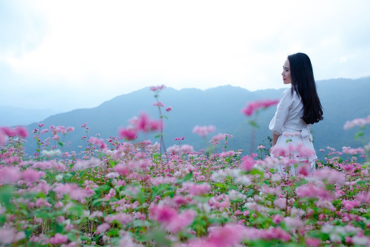 tour hà nội Hà Giang