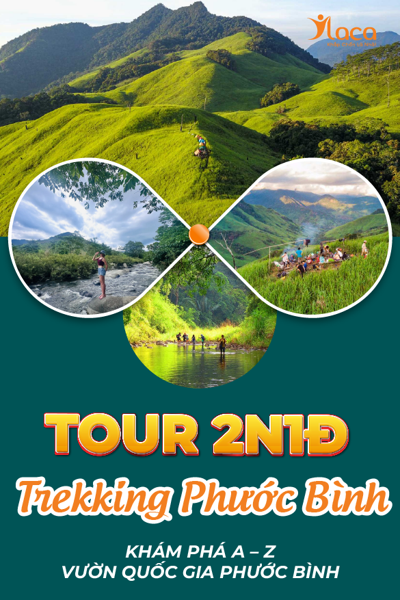 Trekking Phước Bình: Khám phá a – z vườn quốc gia Phước Bình 2 ngày 1 đêm