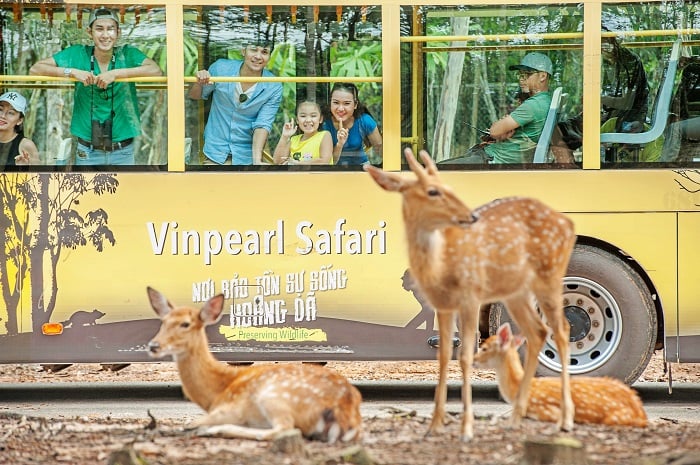 Đến thật gần với thế giới hoang dã tại Vinpearl Safari Phú Quốc