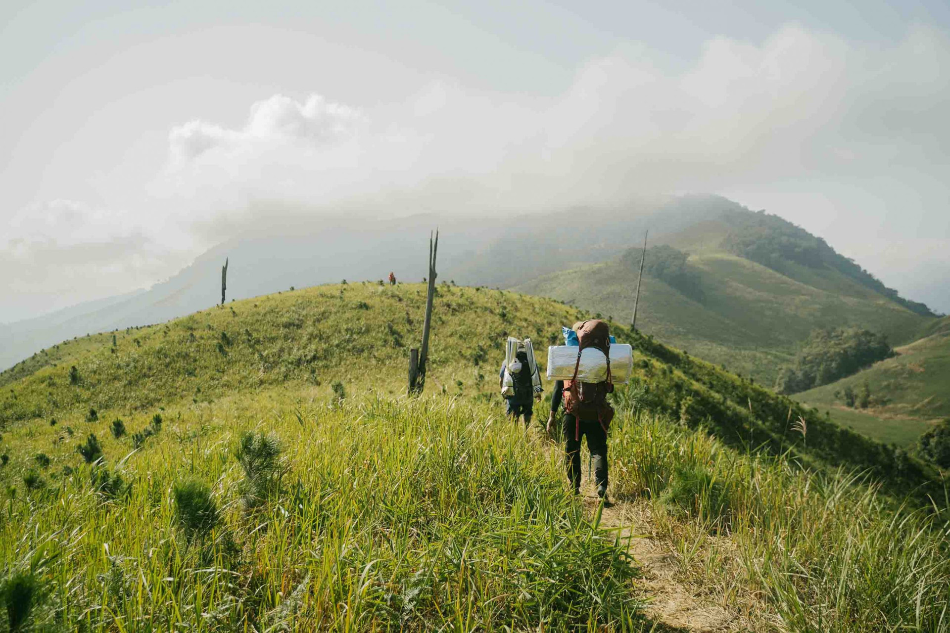 Trekking và tham quan đường mòn