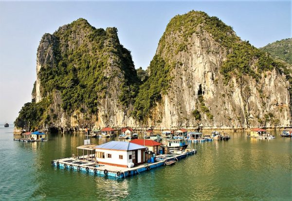 Tour Thăm Vịnh Hạ Long 4 Tiếng/6 Tiếng Trong ngày