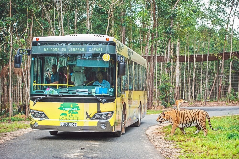 Vinpearl Safari Phú Quốc