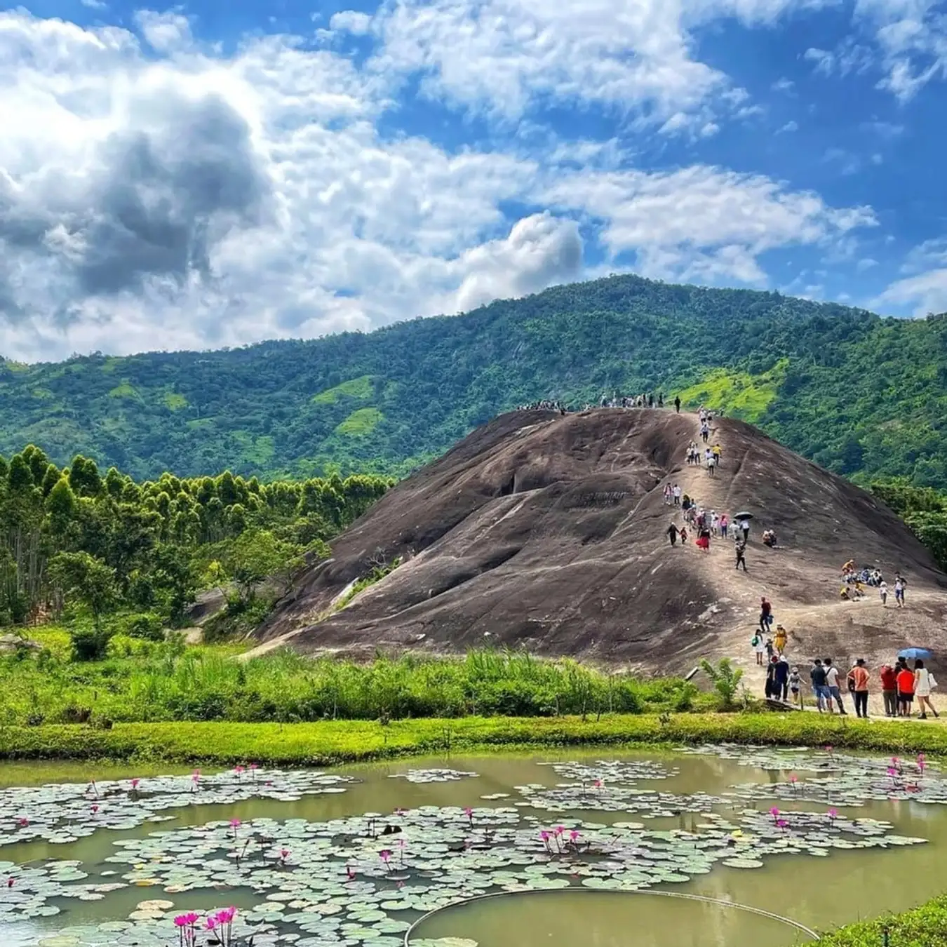 Núi Đá Voi Mẹ nhìn từ phía sau nhìn như chú voi khổng lồ đang nằm phục dưới đất