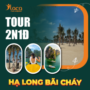 Tour Hạ Long Bãi Cháy 2 Ngày 1 đêm