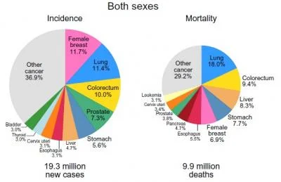 Worldwide Breast Cancer