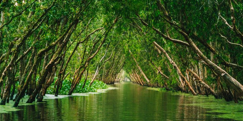 Bỏ túi kinh nghiệm du lịch An Giang tự túc, cùng ILACA khám phá “xứ mắm”