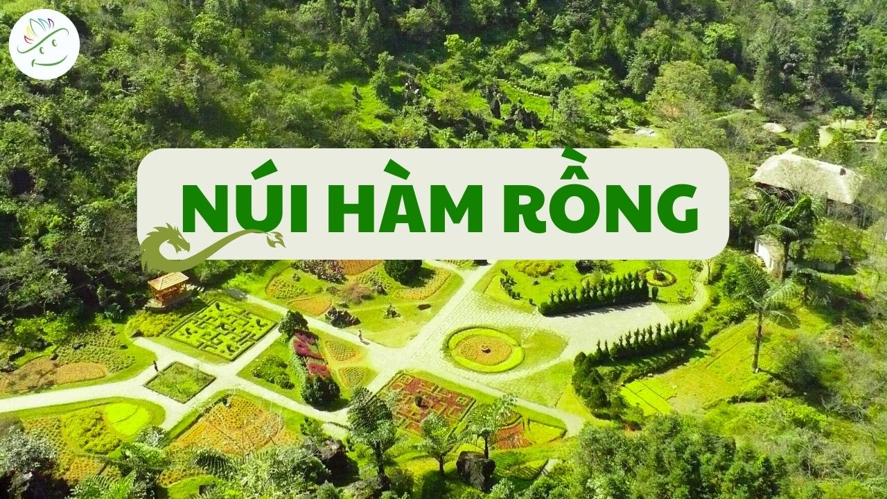 HÀM RỒNG