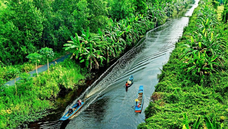 Kinh nghiệm du lịch Cà Mau tự túc