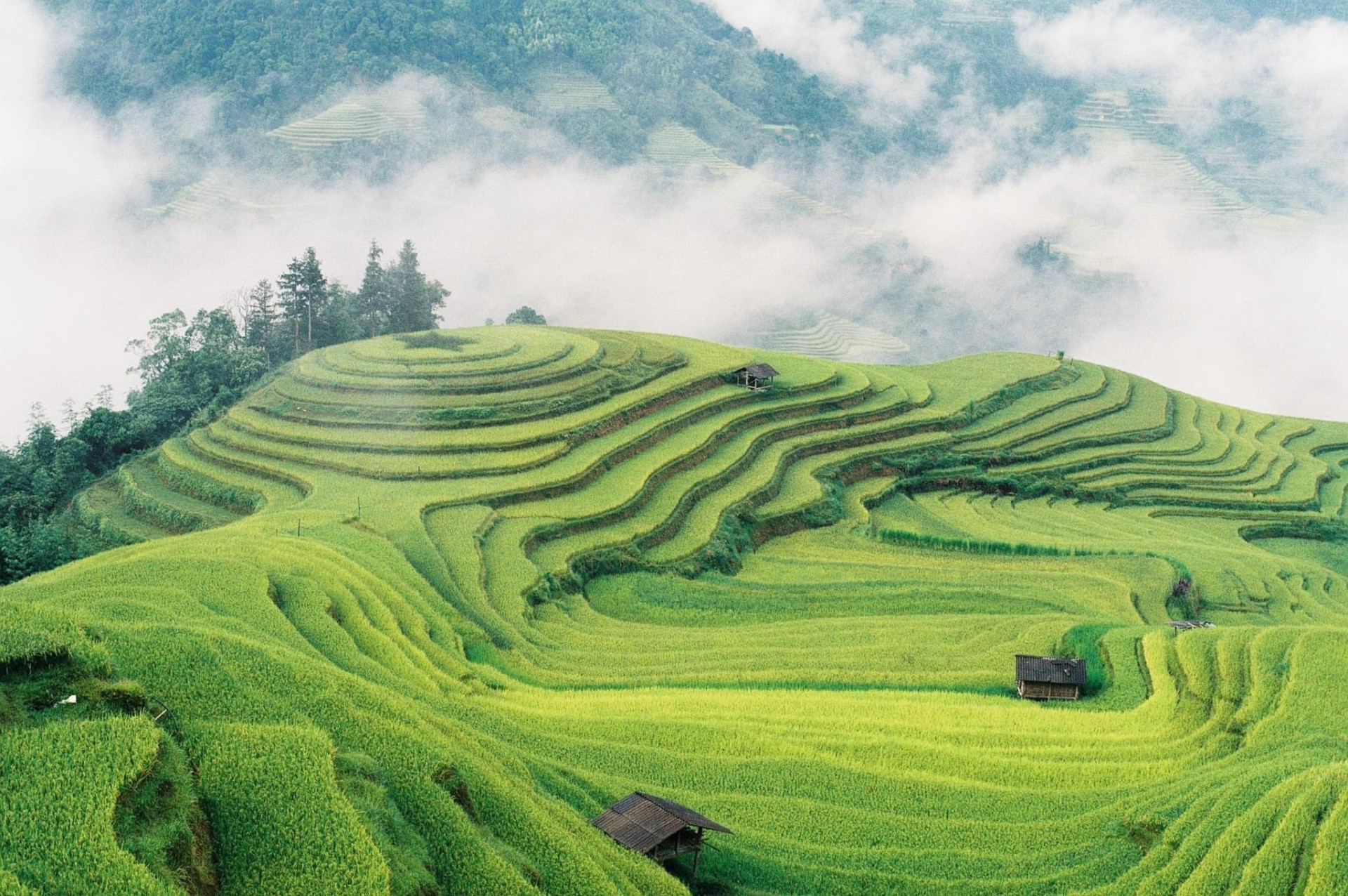 Ruộng bậc thang bản Phùng thay đổi theo từng thời điểm trong năm