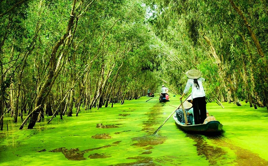 VƯỜN QUỐC GIA U MINH HẠ – ĐẤT MŨI CÀ MAU 01 NGÀY - Ninh Thuận Travel