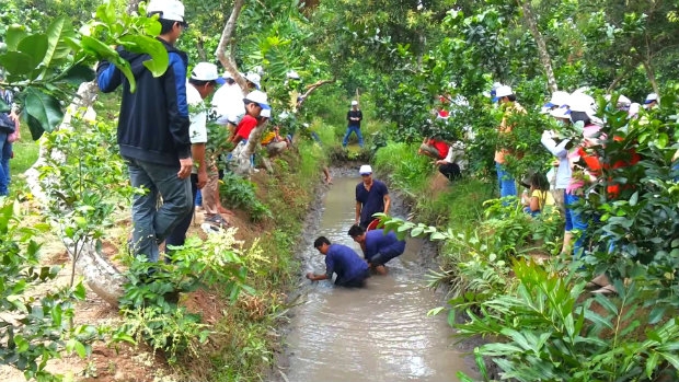 KHU DU LỊCH SINH THÁI MIỆT VƯỜN HUY HOÀNG